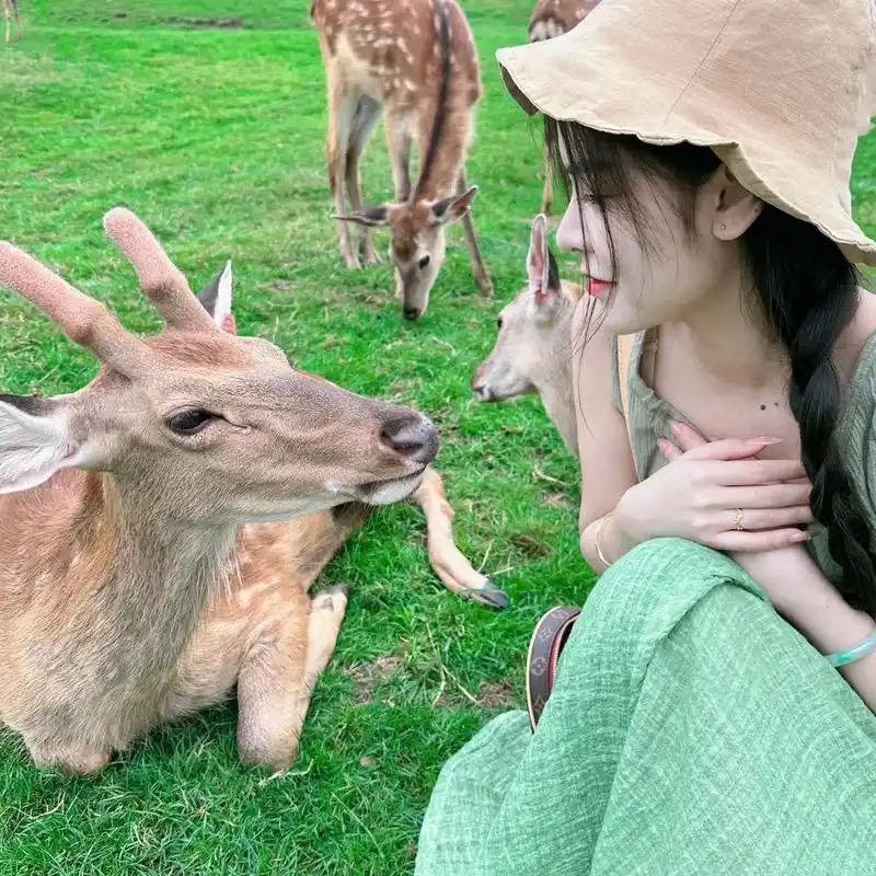 笛鹿鹿业滋补专卖店眼见为实