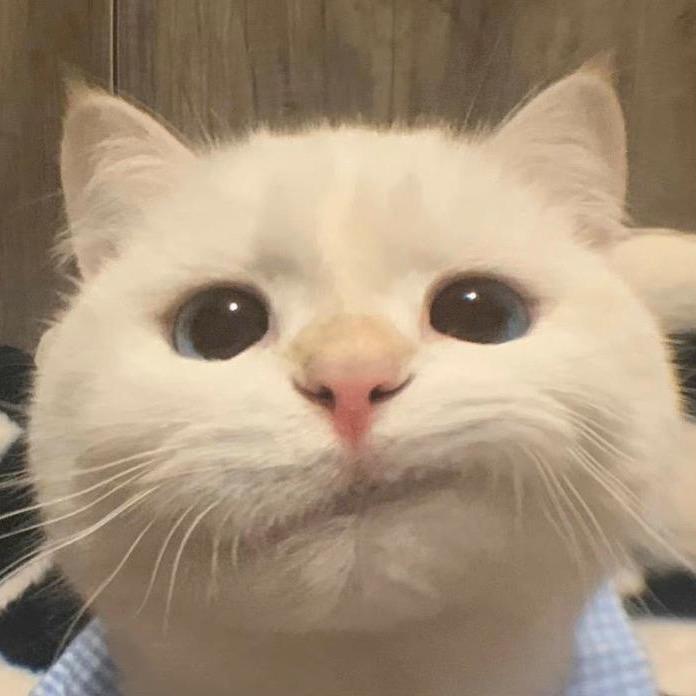 君执.