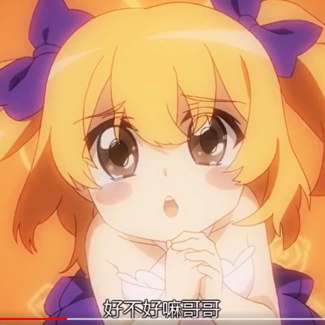 中南条狗