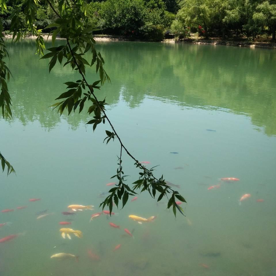 珍珠泉农家乐