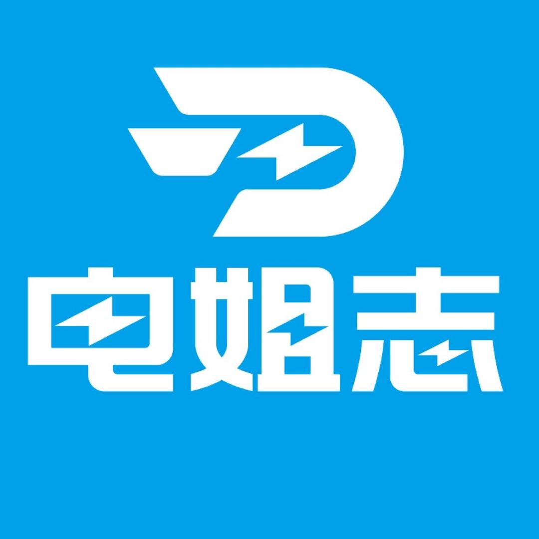 电姐志