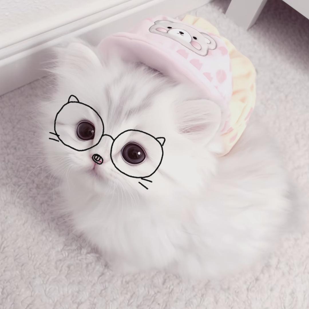 cattqwq1^
