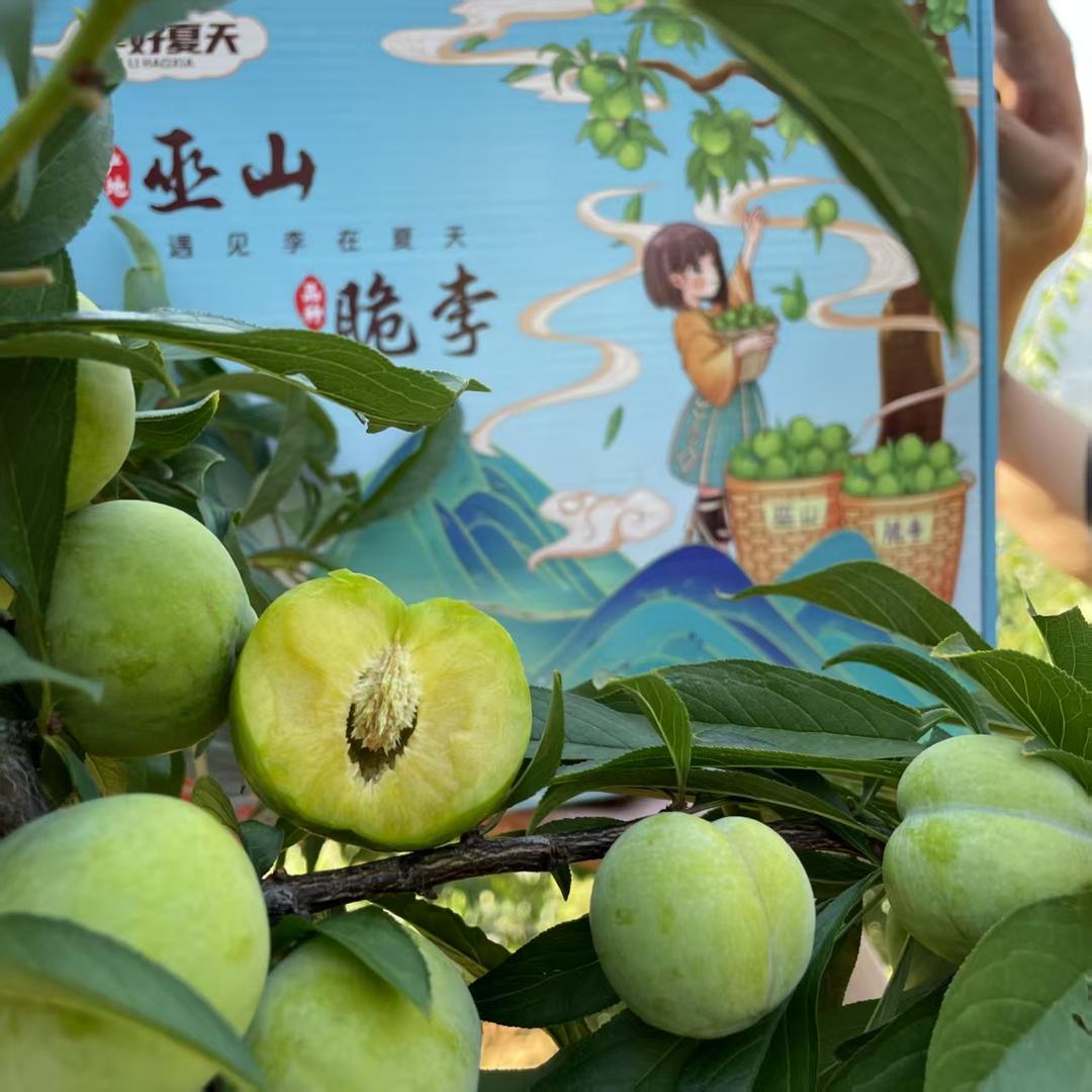 田园季节水果
