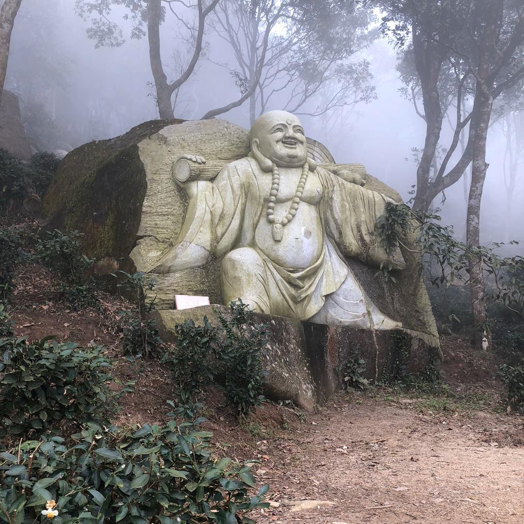 慕斯聚集