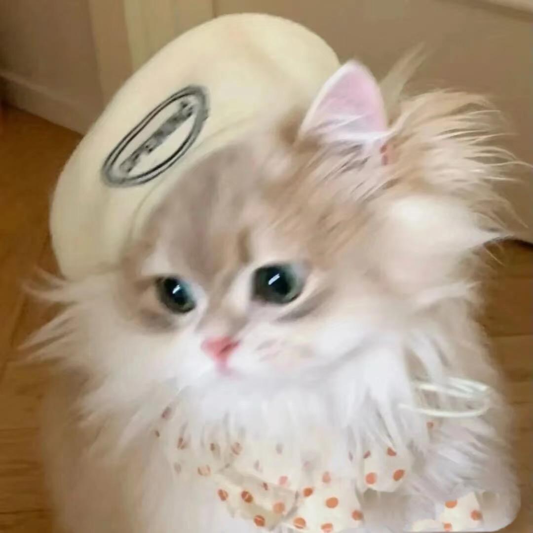 Uu