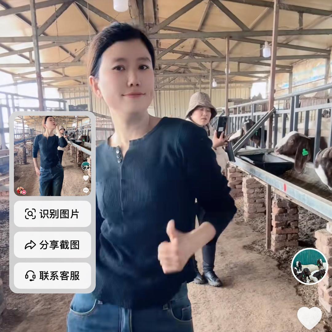 羊约会