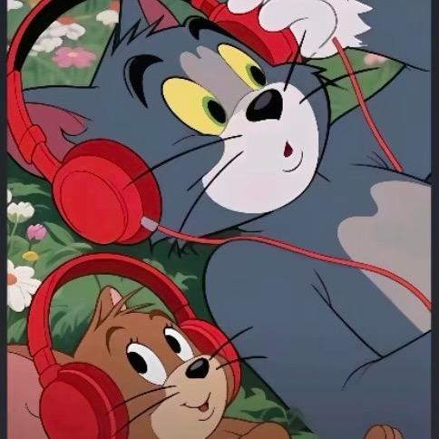¥¥🍎
