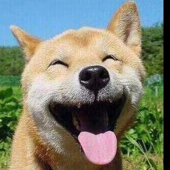 江湖故人