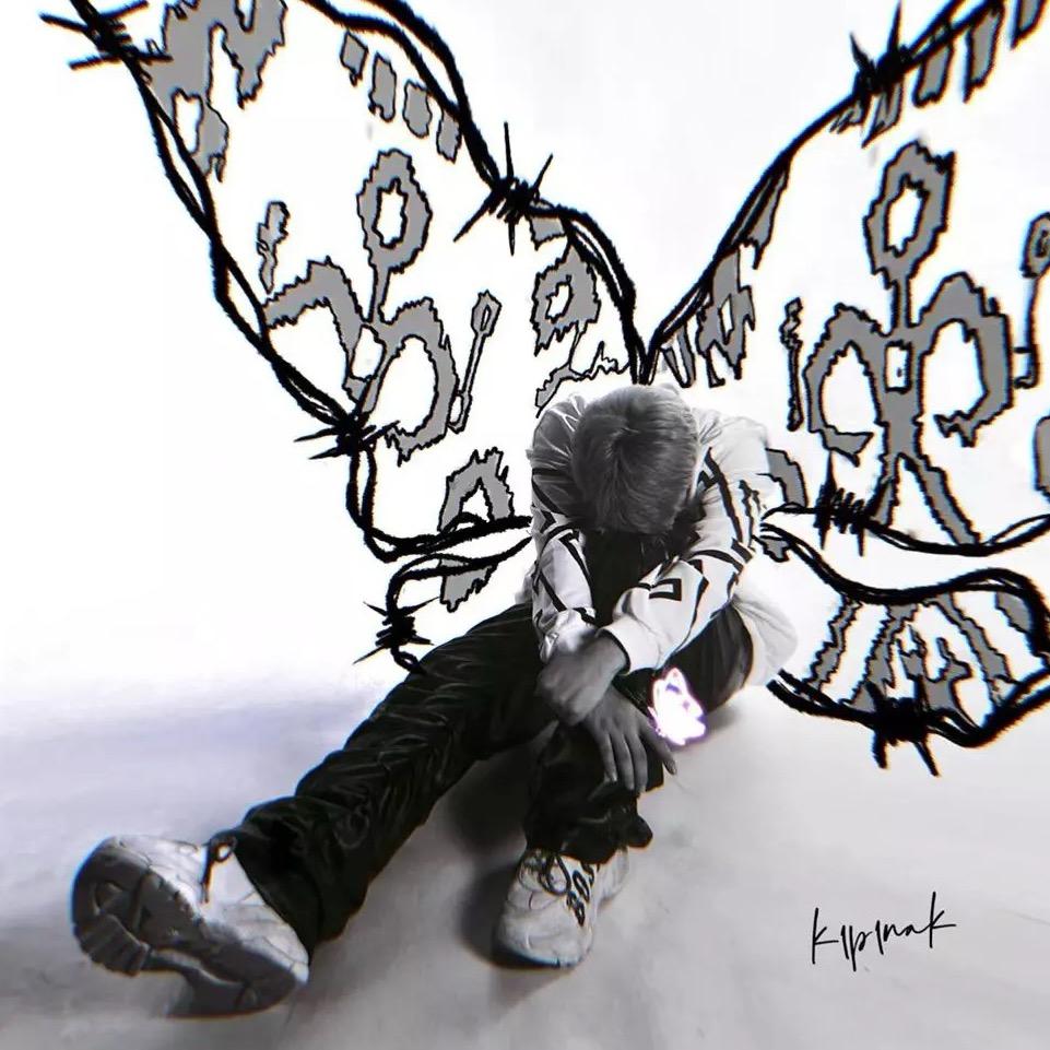 k1p1nak蝶🦋