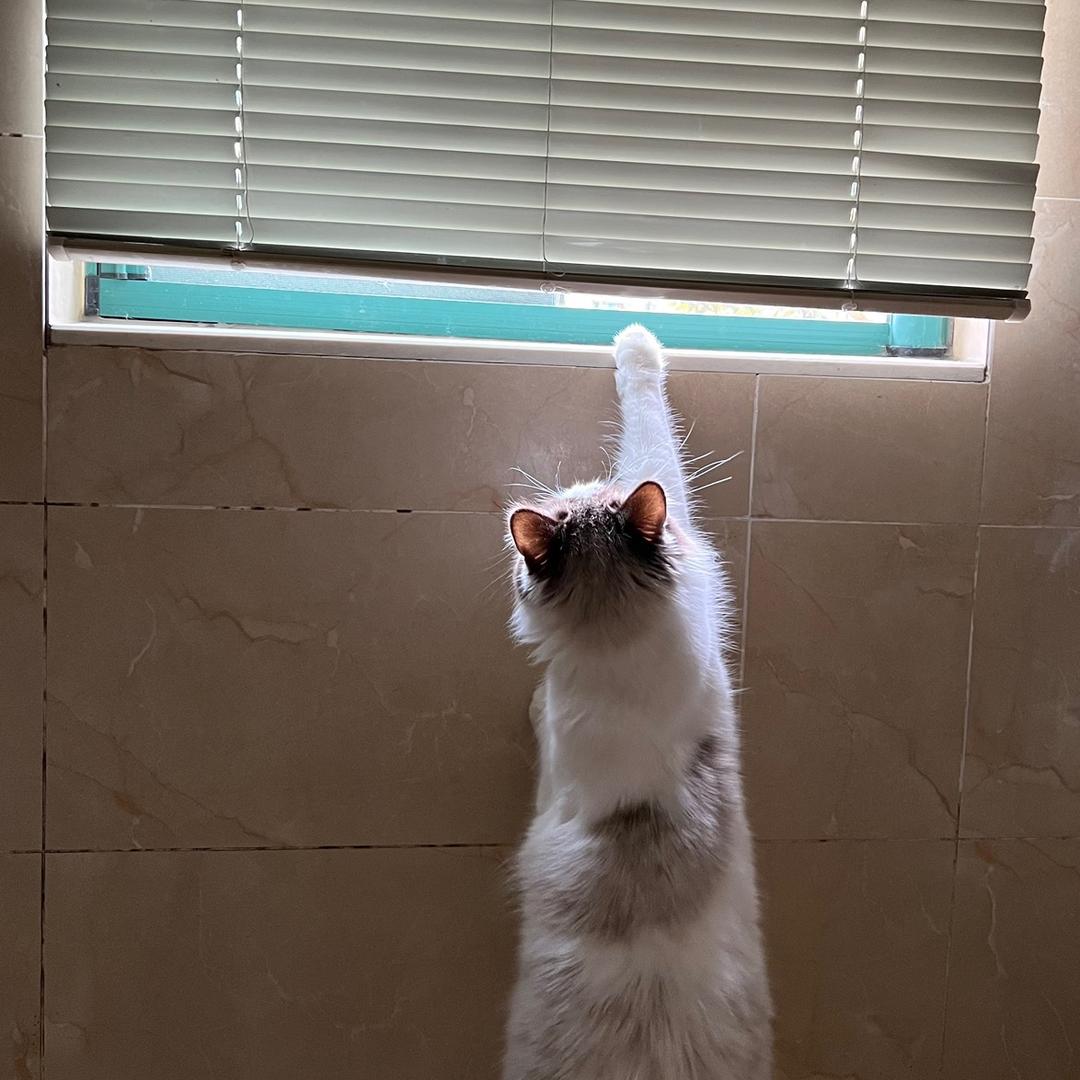 期待一下吧
