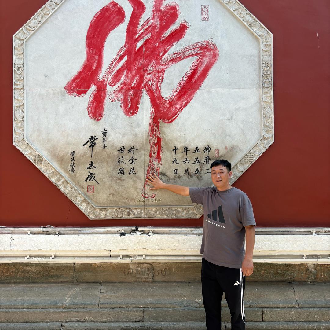 老金赛鸽