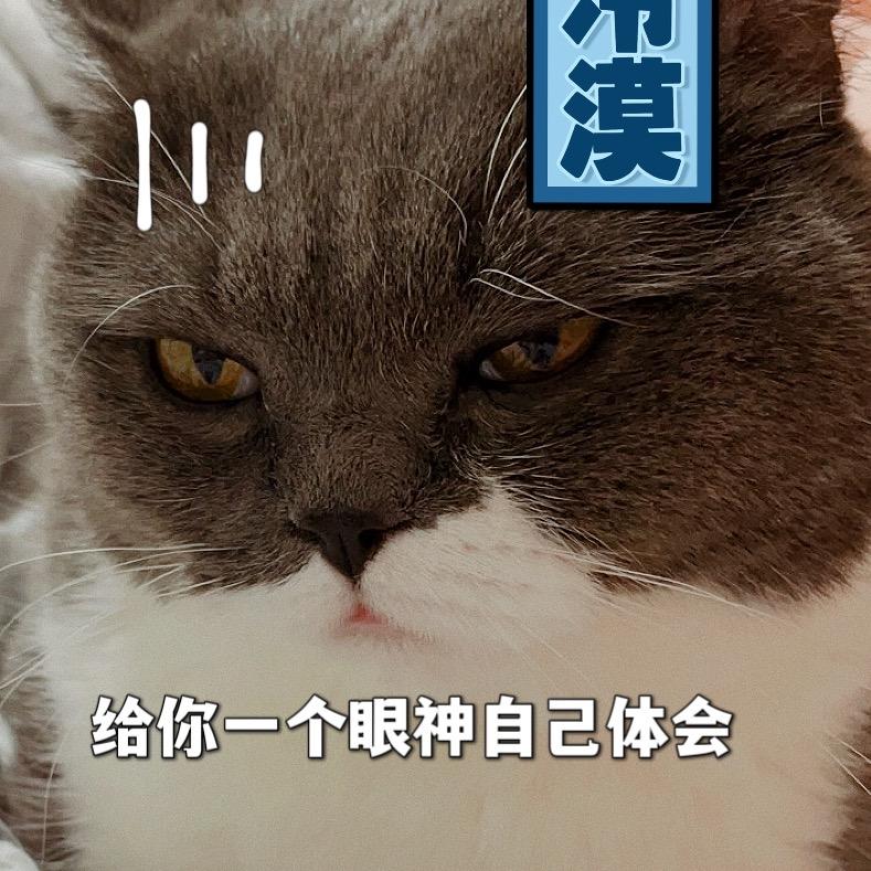 小稀饭饭