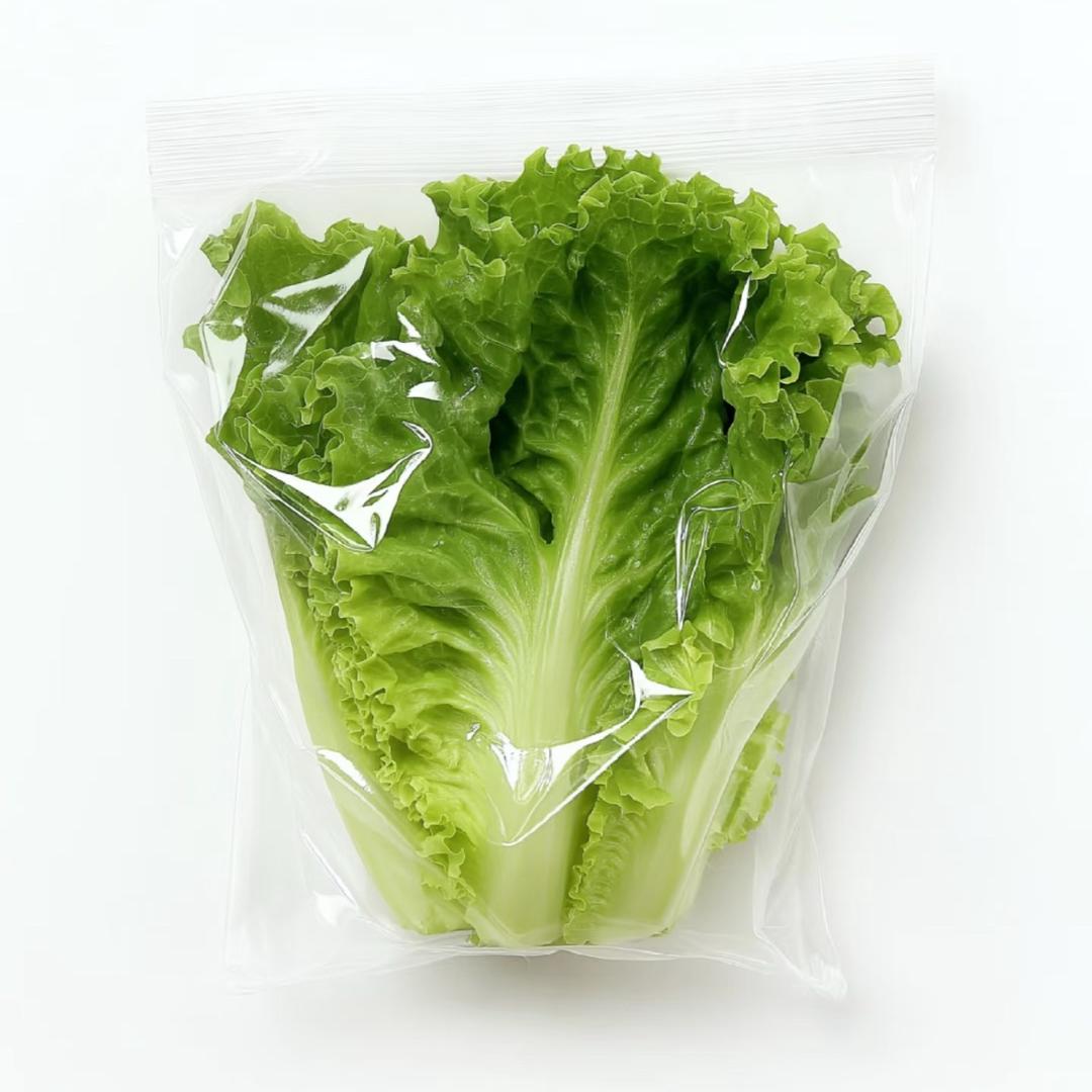 一颗生菜