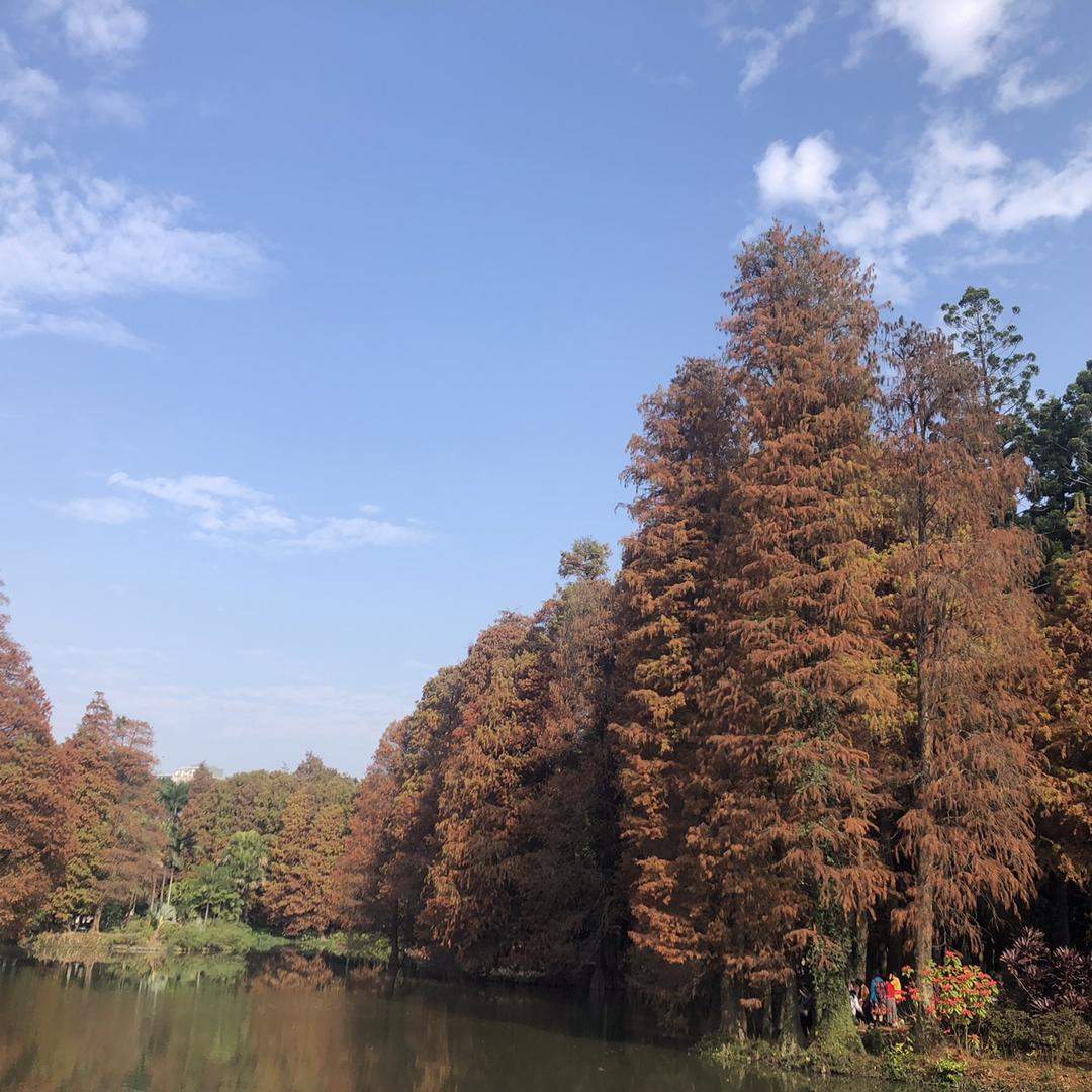 专柜退换货正品捡漏