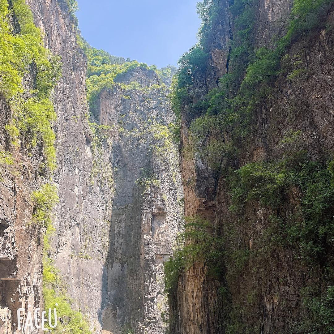 风的承诺