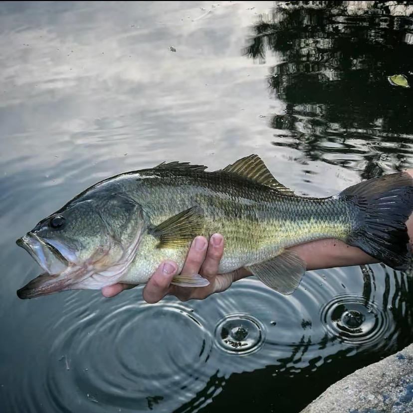 沃鼎锦顺专卖店