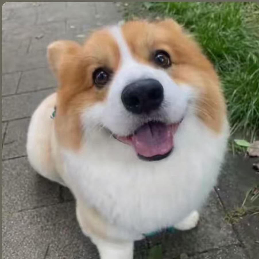 一条吃不停的咸鱼