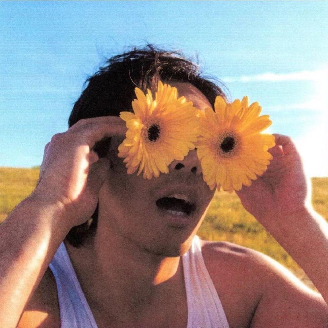 阿豪（00后养猪版）