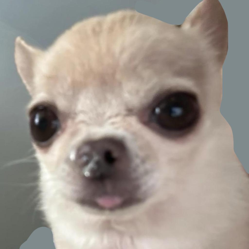 煙犬
