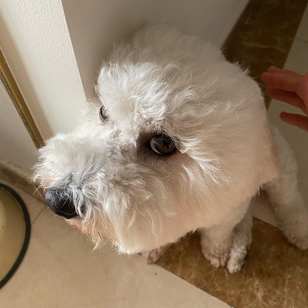 代老师🧑‍🏫