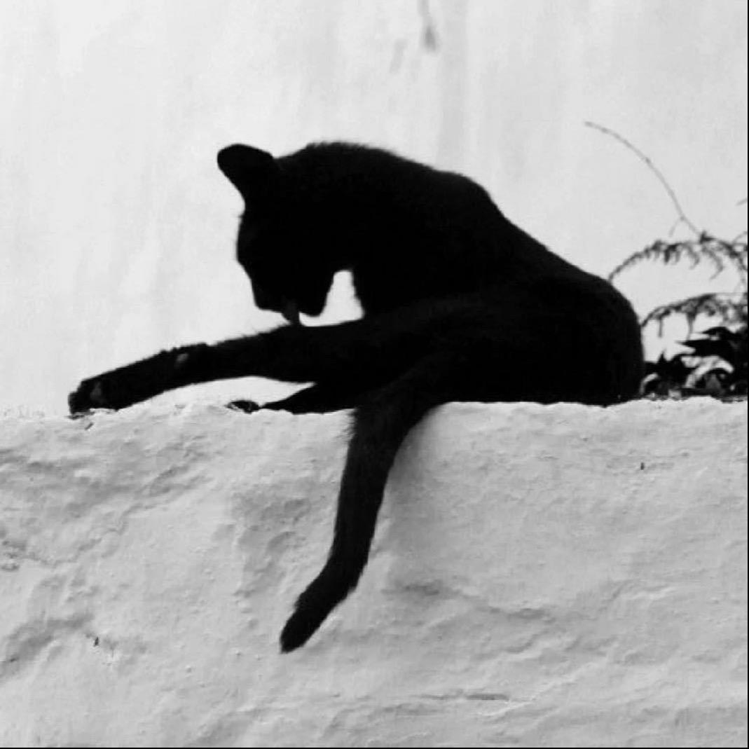 张张发财小仓库