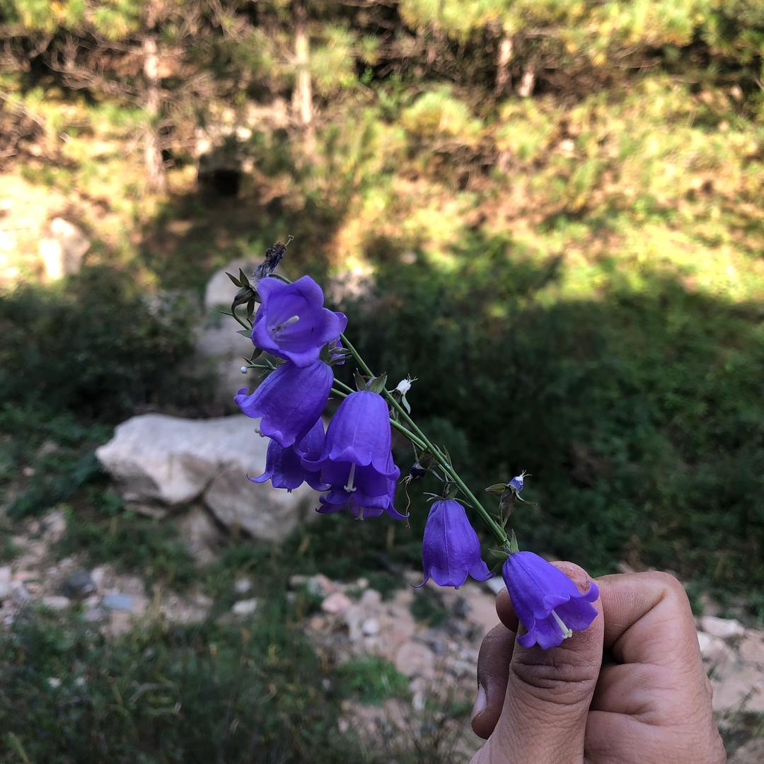 爱做手工的涵涵妈