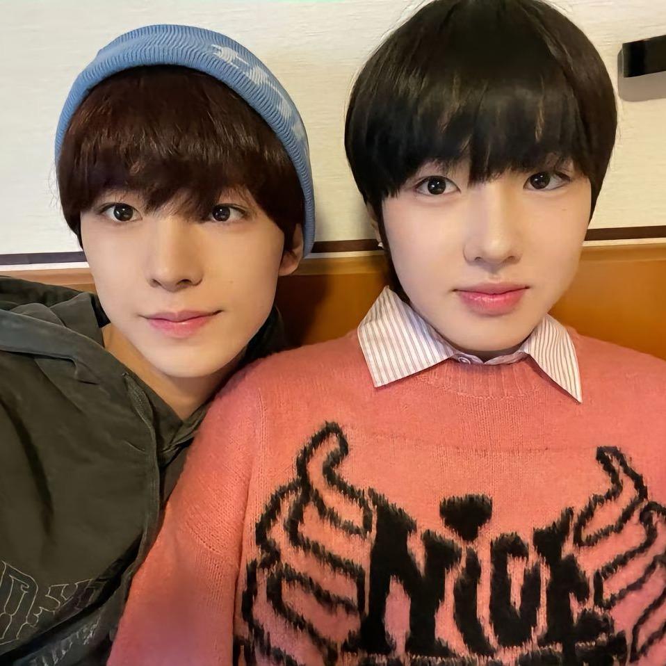 怡只特立独行的猪•ʚ•