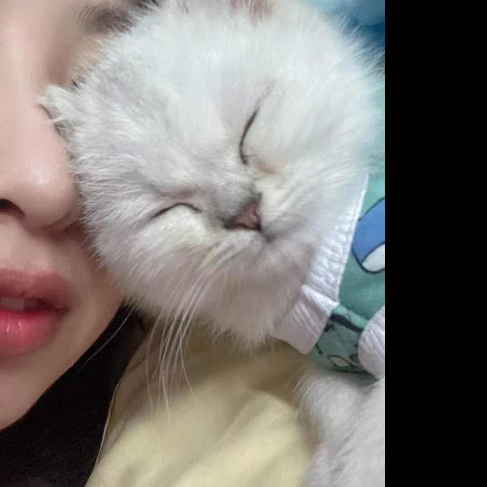 煜儿