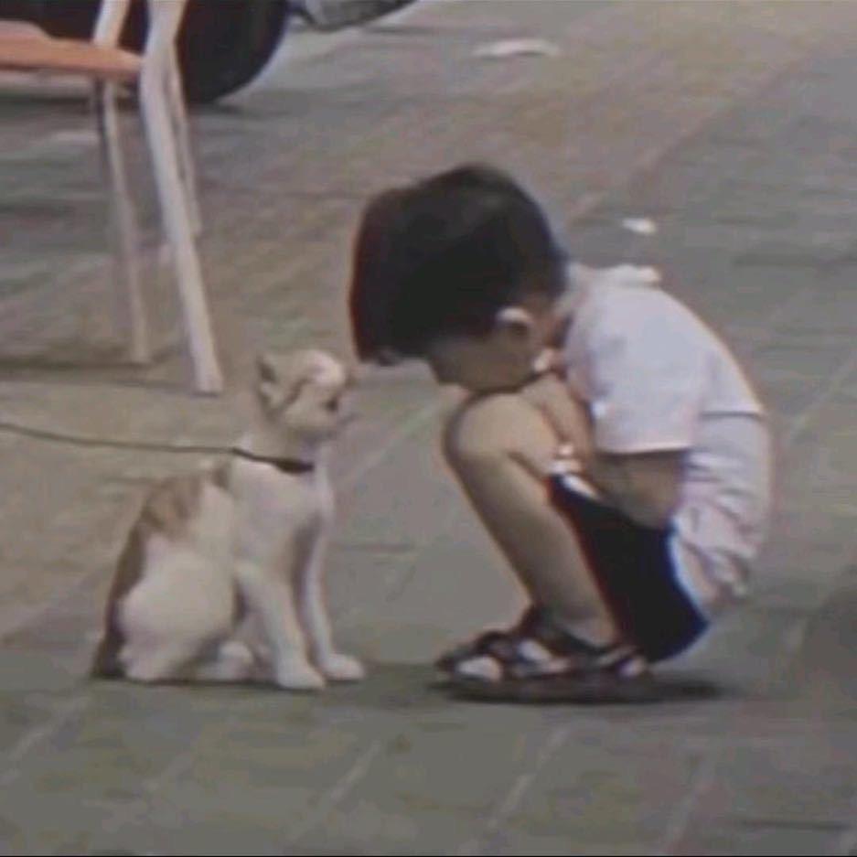 羊呦粉