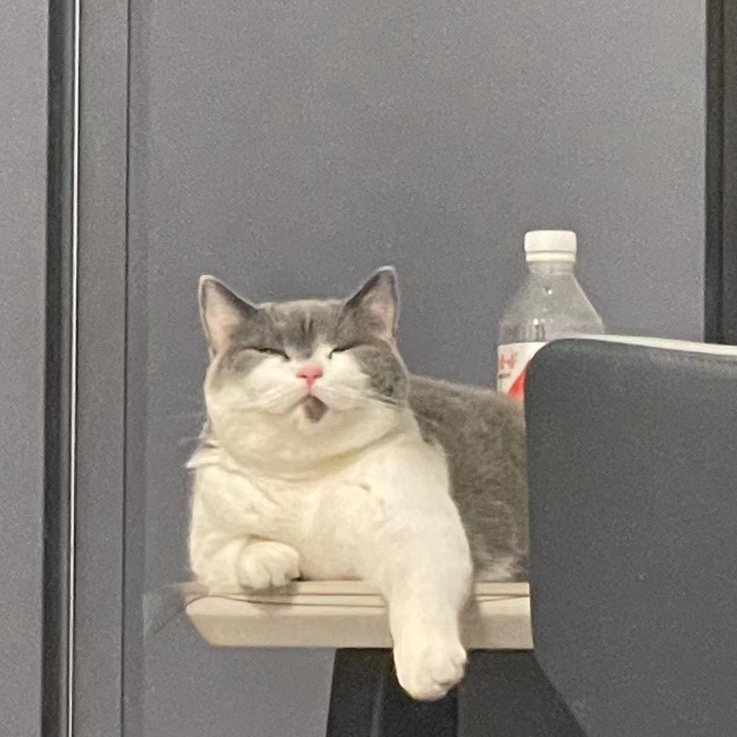 大鼻子璐猪