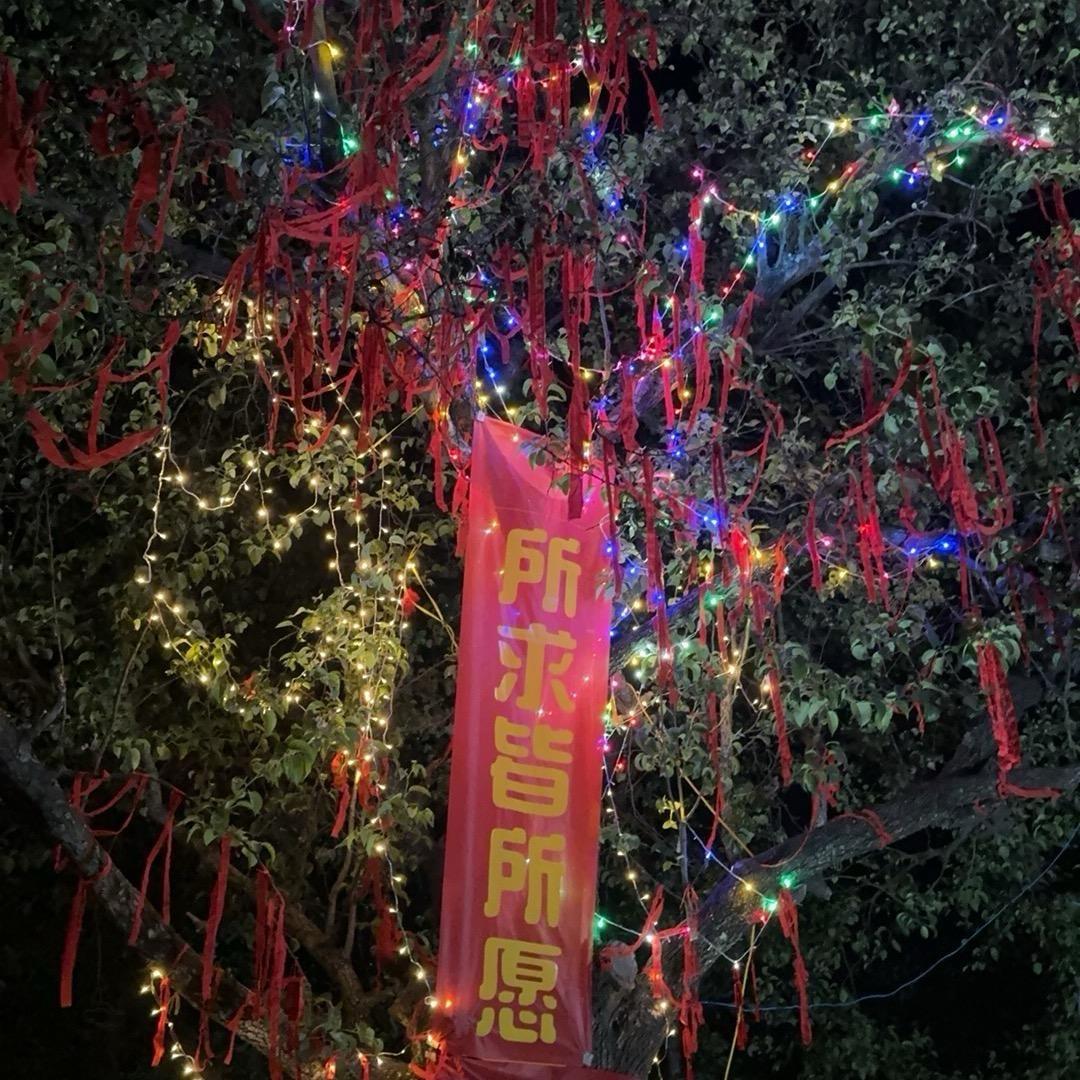 梨园放炮15