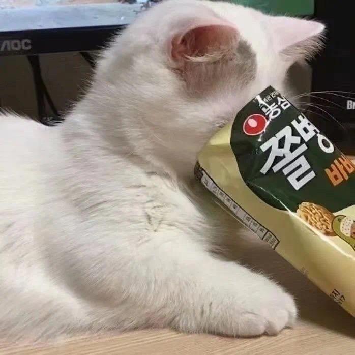 毛毛