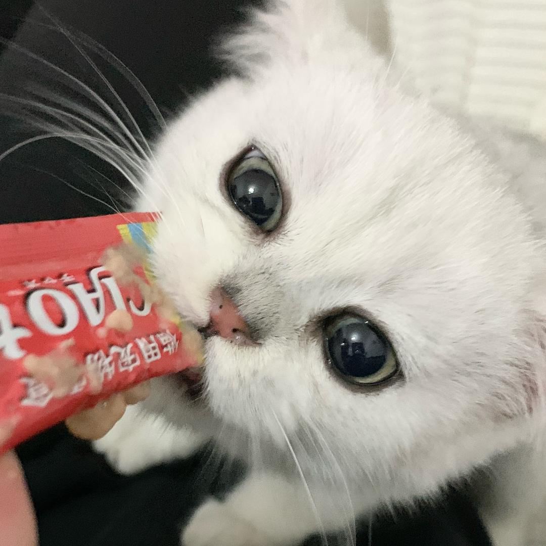 liliL