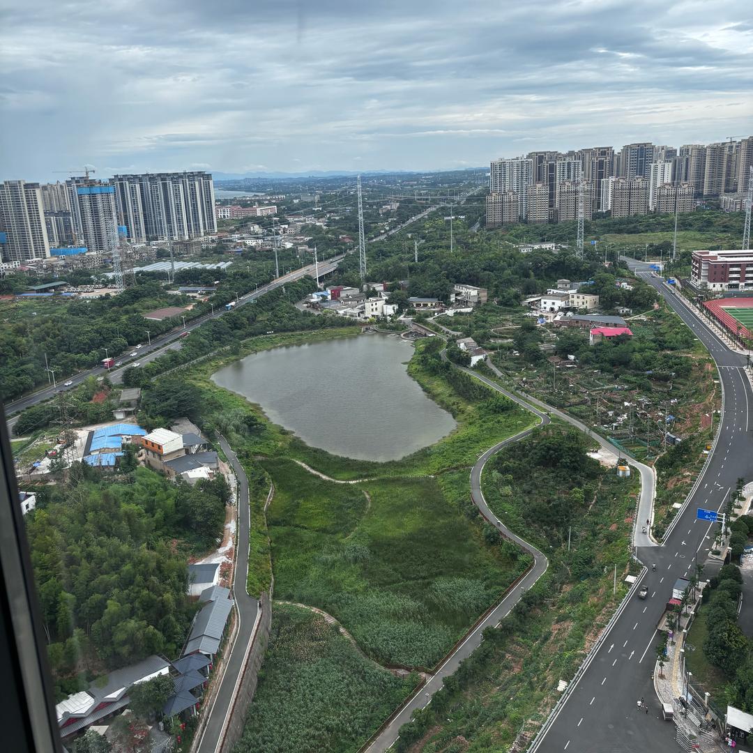 杨柳青