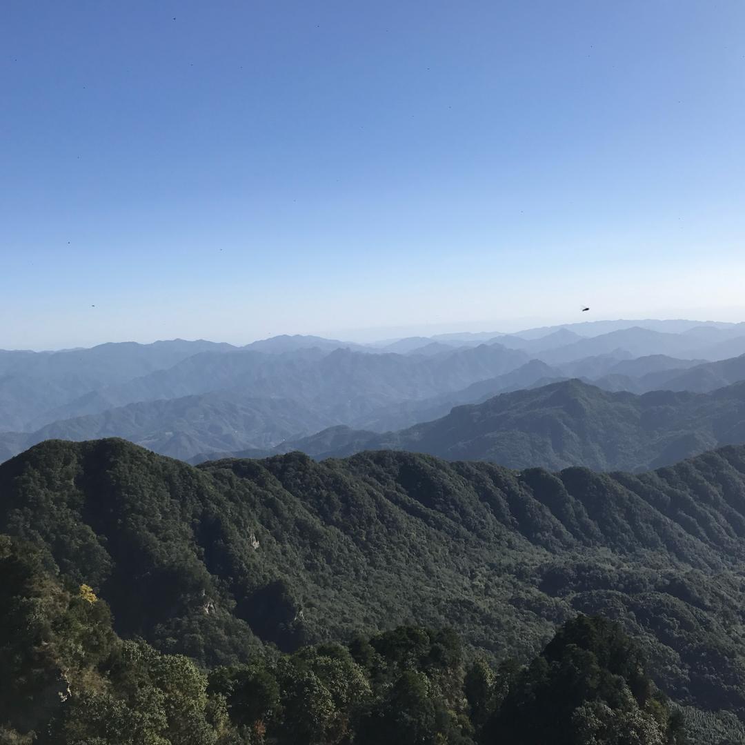 胜哥老G（舍与得）