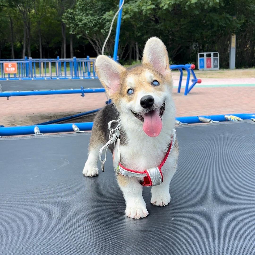 梁不丢