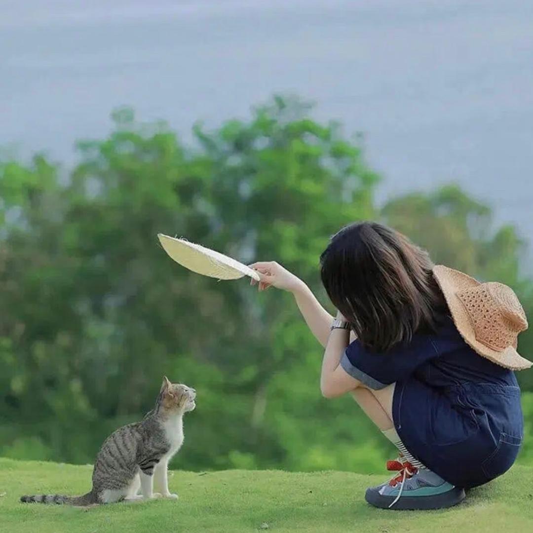喵小辰
