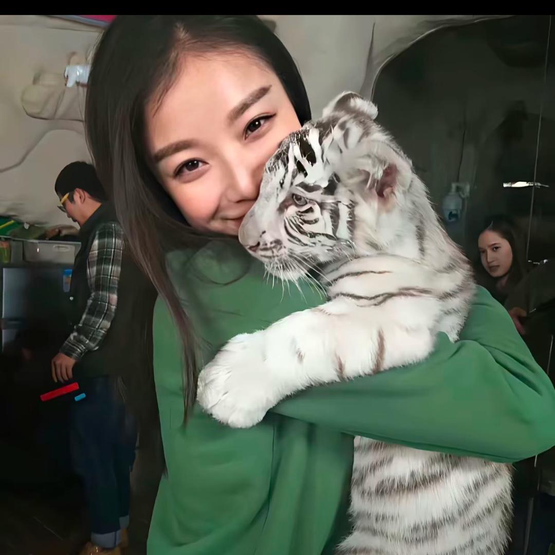 晚安明天见