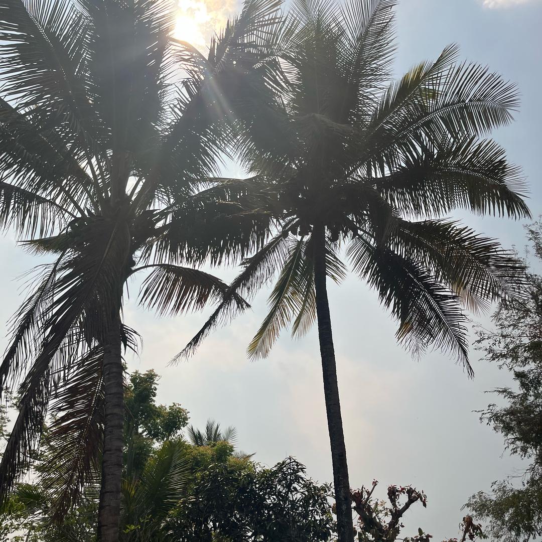 版纳大黑山😊😘😩😁