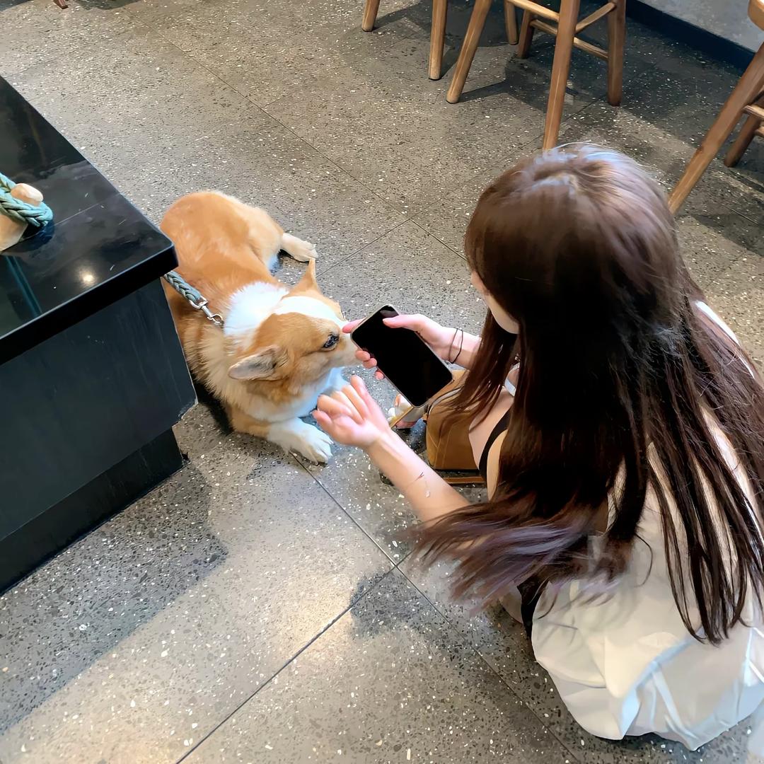 情为何物