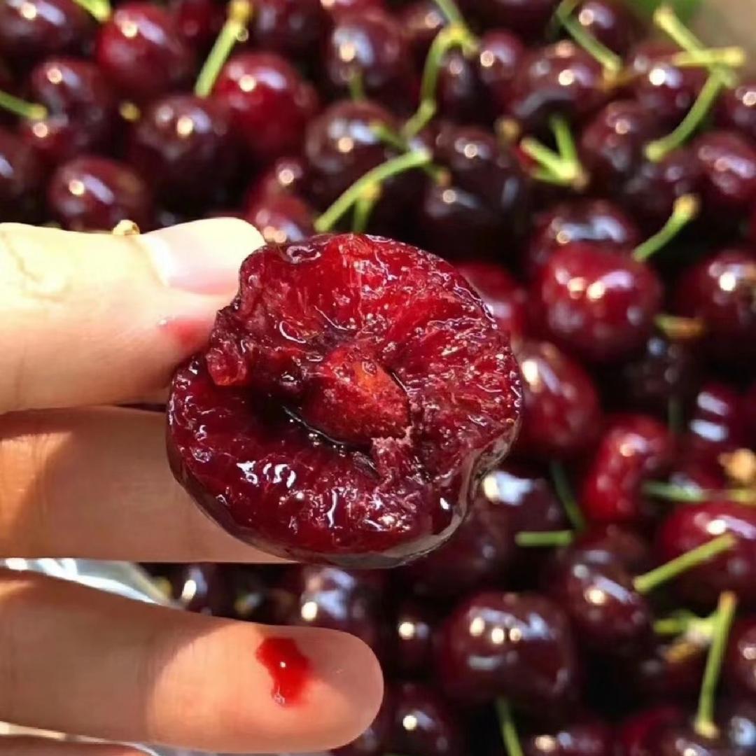 车厘子嗨起来