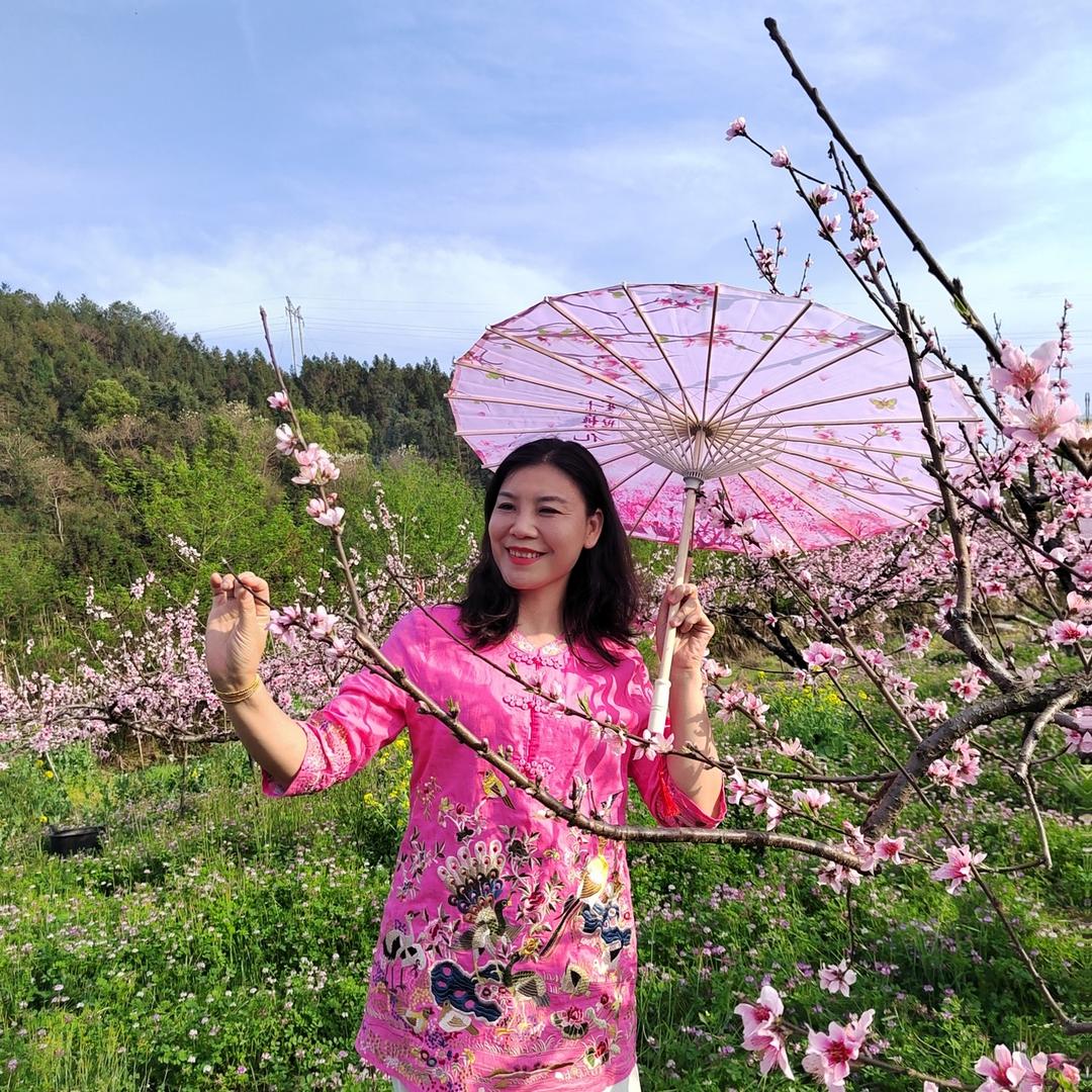 苇苇如丝