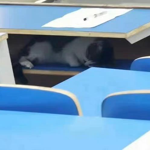 飞AAAAA