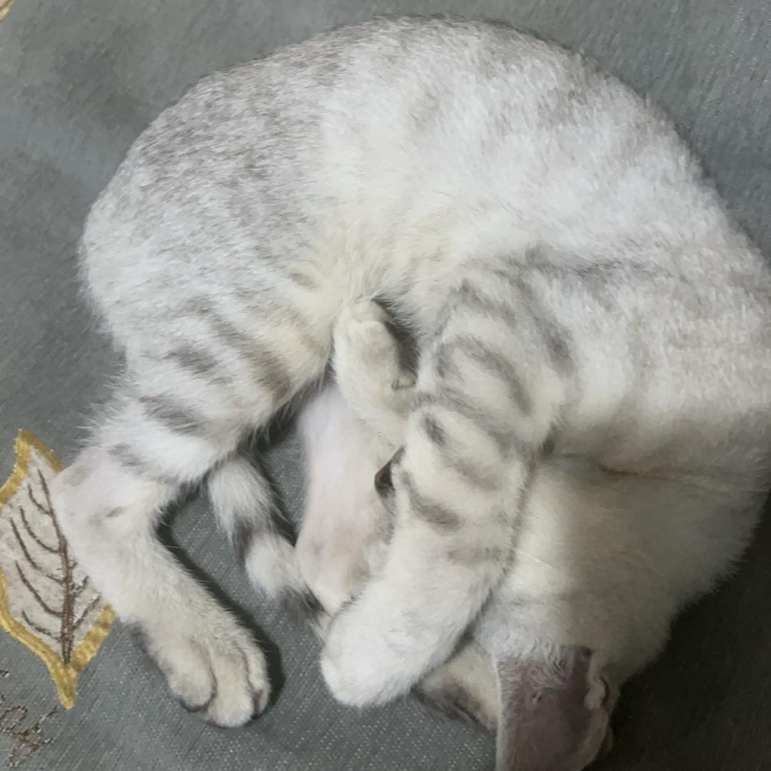 以后