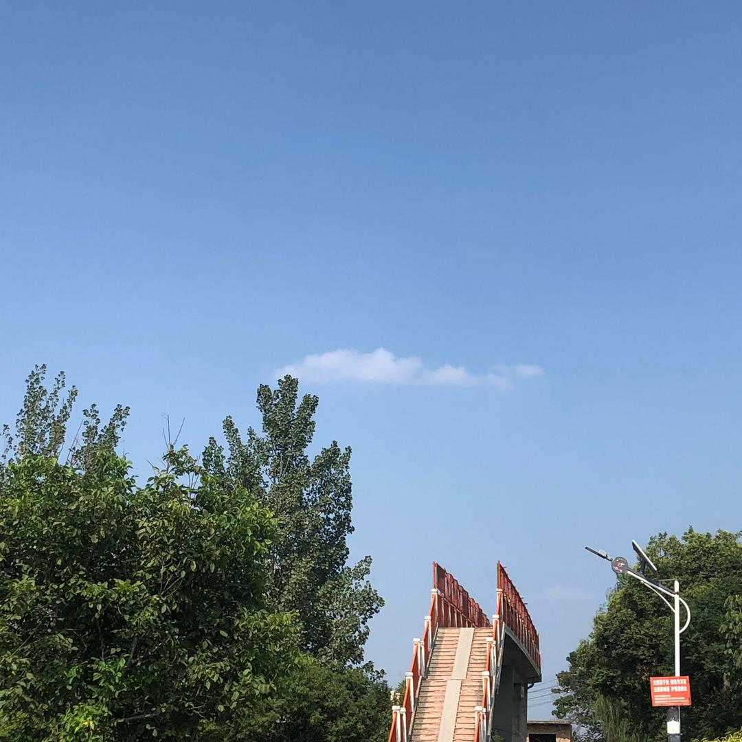 哥要不说时候得靠泾阳董事长您