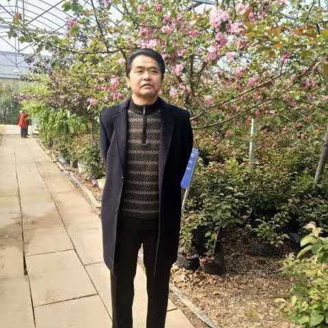 王青利一
