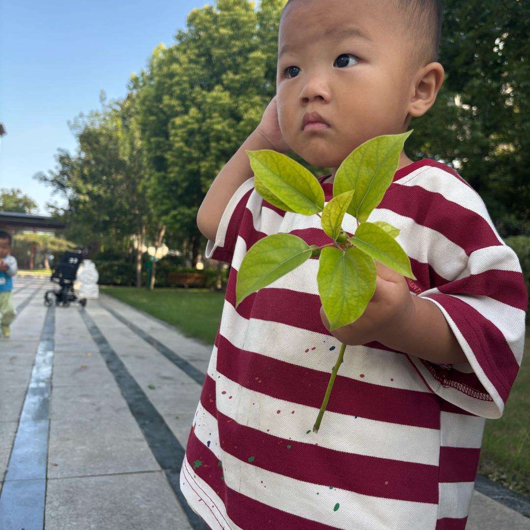 小昂哥