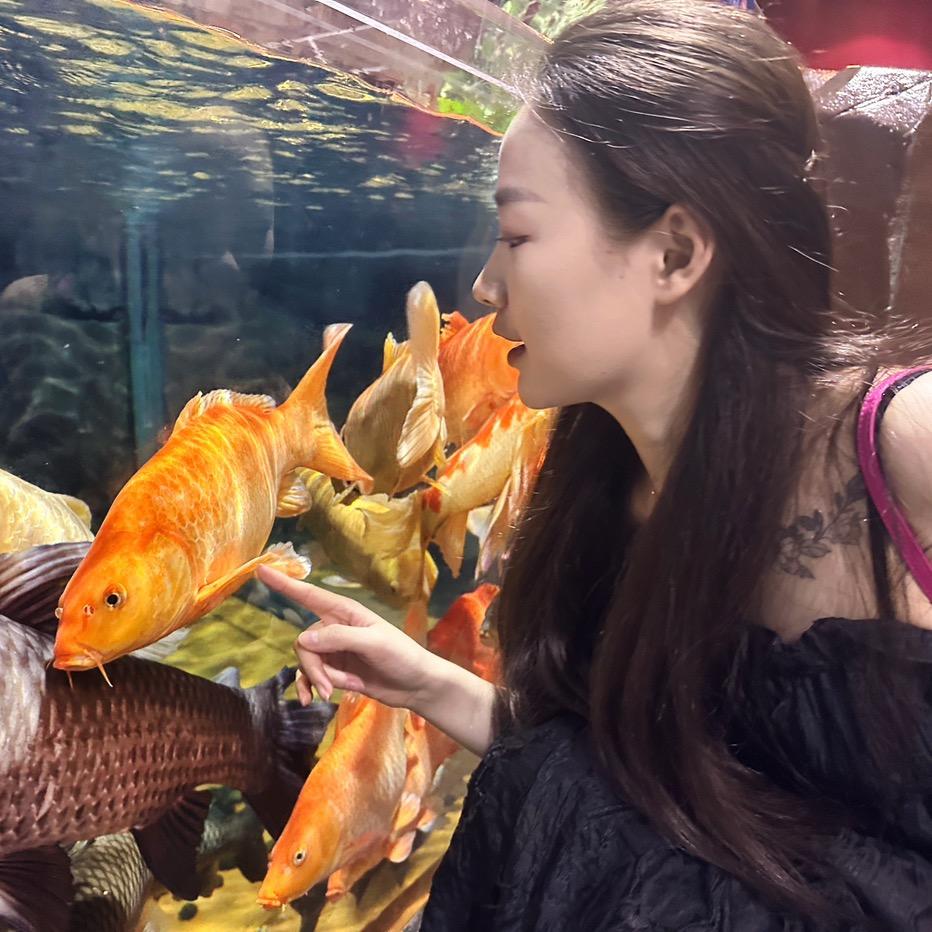 吃不起板栗🌰
