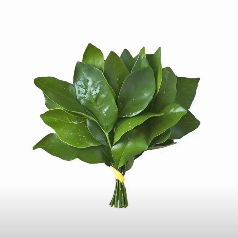 不吃不吃