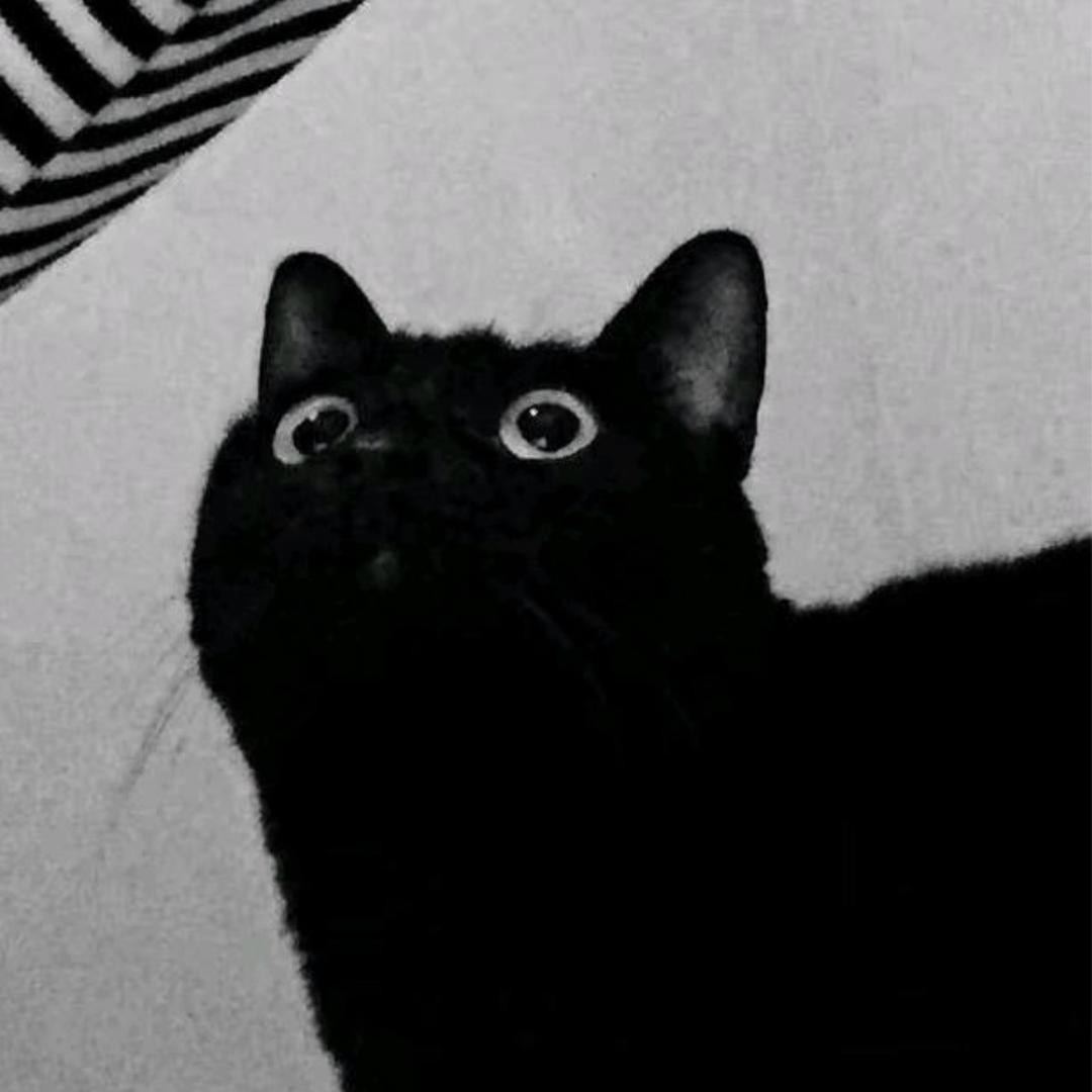 人傻点还背说多都是泪